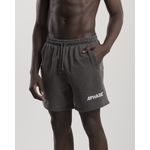 BASIC PROJECT SHORTS - STONED GRAY