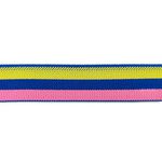 Elástico Zap 204 - Diagonal Rosa Azul Amarelo 30mm 1 Metro