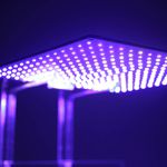 Luminária ALL BLUE - Para Aquário Marinho - LEDs Samsung Lm281b+ 65w
