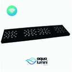 Solarium Plant 80cm Wi-fi
