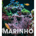 Alimento para corais - 500 ml