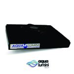Aqua Plant 20cm