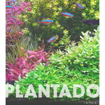 Aqua Plant 60cm | Wi-fi