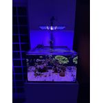 Luminária ALL BLUE - Para Aquário Marinho - LEDs Samsung Lm281b+ 65w