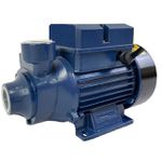 MOTOBOMBA PERIFÉRICA ICS-100AB 1,0CV.110/220V. - ELETROPLAS 