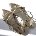 RASTEIRA LIZ DOURADA