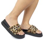 Papete Feminina Corrente Lucia Sola Alta Onça