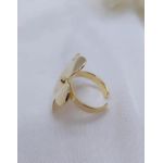 Anel Ajustável Flor Banhado a Ouro