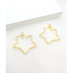 Brinco Argola Banhado a Ouro Estrela 