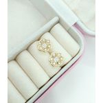 Brinco Flor Com Zircônias Banhado a Ouro