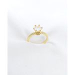 Anel Com Pedra e Cravejado Com Zircônias Banhado à Ouro