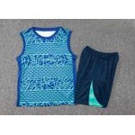 Conjunto Treino Regata E Short Brasil 2024/25