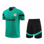 Conjunto de treino Camisa + Short Senegal 23/24 - Masculino