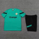 Conjunto de treino Camisa + Short Senegal 23/24 - Masculino