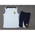 Conjunto Treino Seleção França 24/25 Regata + Short - Azul Claro