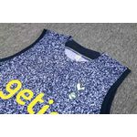 CONJUNTO TREINO TOTTENHAM REGATA + SHORT 2023/24 (SILK HOLGRAFICO)