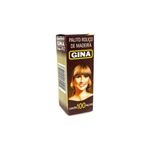 Palito De Dente Gina - 25x100 Un