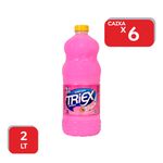 Desinfetante Triex Perfumes Da Manhã 2L - 6x2L