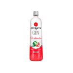 Gin Eternity Melancia 900ml - 6x900ml.