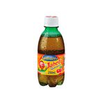 Refrigerante Jaboti Guaraná Pet 250ml. - 12x250ml.
