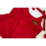 Conjunto Sarinha vermelho