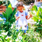 Vestido Alice No Pais Das Maravilhas
