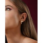 Brinco Argola com Brilhantes