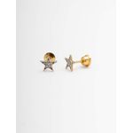 Brinco Estrela 5 Pontas Cravejada