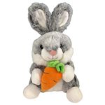 Coelho de Pelúcia com Cenoura 24cm Sortido Fizzy FEC7563