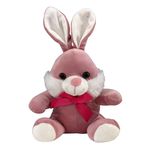 Coelho de Pelúcia com Laço 18cm Sortido Fizzy FDC5014