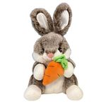Coelho de Pelúcia com Cenoura 24cm Sortido Fizzy FEC7563