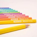 Lápis de Cor 12 Cores Maxx Pastel C/Apontador Compactor