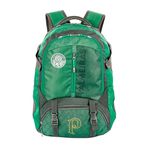 Mochila Esportiva De Costas Palmeiras Sestini