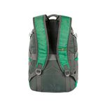 Mochila Esportiva De Costas Palmeiras Sestini