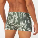 SUNGA BOXER ESTAMPADA COQUEIRAL