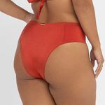 BIQUINI PLUS BASICO LISO TERRA