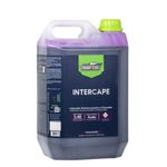 Desincrustante Ácido Intercape 5L Nobrecar