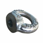 LDI PORCA OLHAL DIN582 ELETRO-GALV. 06MM 