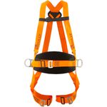 CINTO PARAQUEDISTA C/3 ANCORAGEM COM PROTETOR LOMBAR CA 38572 DULLY