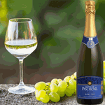 ESPUMANTE DEMI-SEC 750ML MONTE PASCHOAL