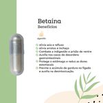 Betaína