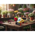 Kit Muitas Delícias Do Dia