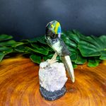 Papagaio De Pedra Natural PP
