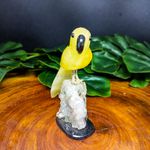 Papagaio De Pedra Natural Amarelo P