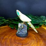 Papagaio De Pedra Natural Branco P