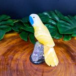 Papagaio De Pedra Natural Amarelo e Branco P