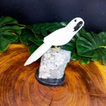Papagaio De Pedra Natural Branco e Preto M
