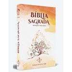 BIBLIA TRADUÇÃO OFICIAL CNBB - CAPA INICIAÇÃO A VIDA CRISTA - 6. EDIÇÃO