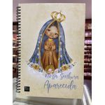 Caderno Mini Santinhos - Nossa Senhora Aparecida 90 fls