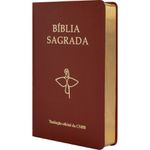 BÍBLIA CNBB TRADUÇÃO OFICIAL - SEMILUXO 6ª EDIÇÃO